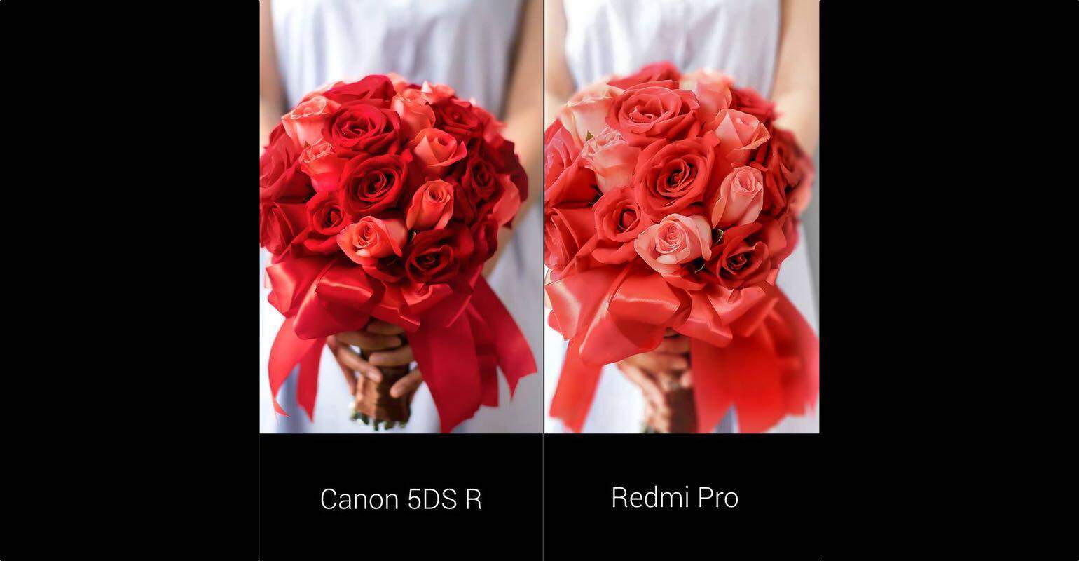 Xiaomi Redmi Pro camera